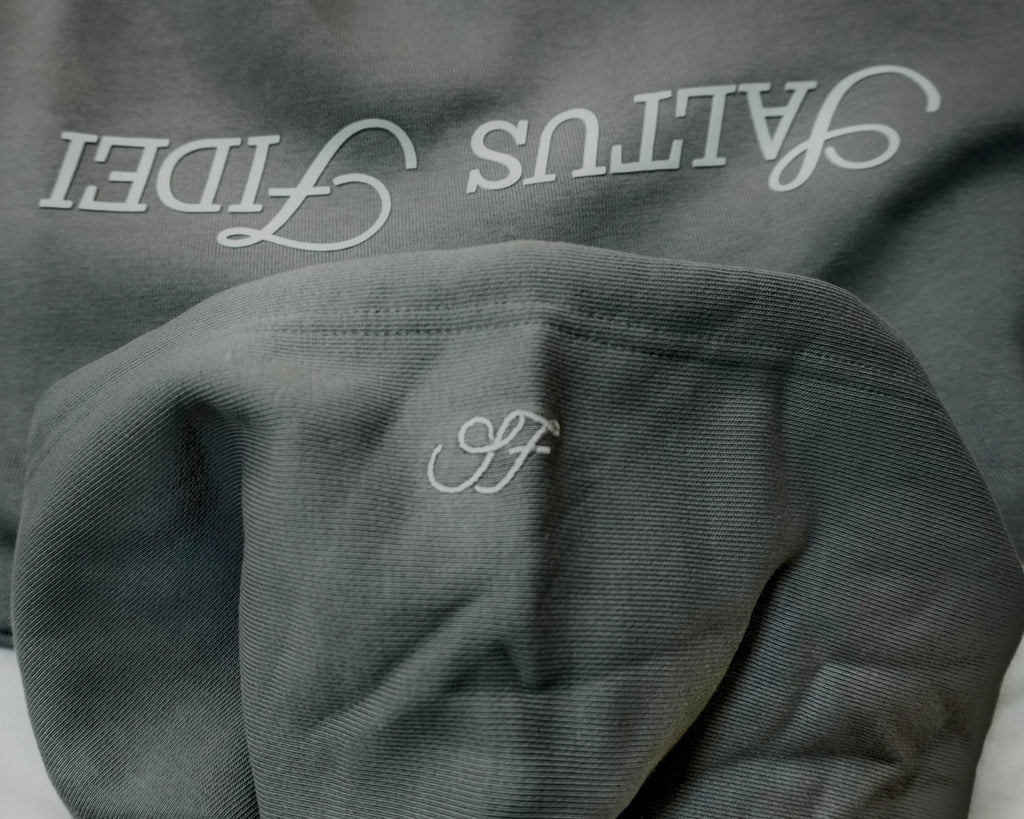 Charcoal grey Saltus Fidei hoodie, close-up product detail